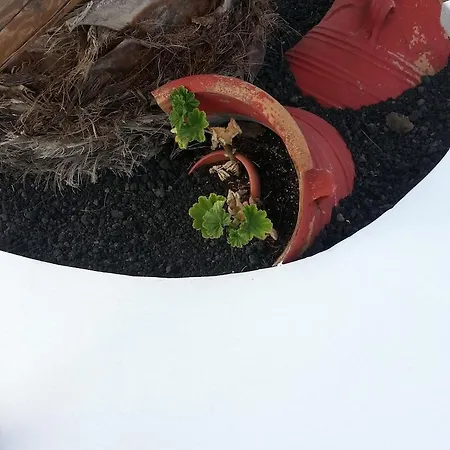 Golden Star 2* Fira (Santorini)