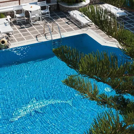 Hotel Golden Star