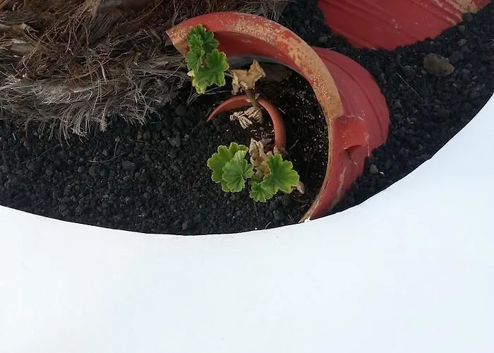 Golden Star 2* ثيرا